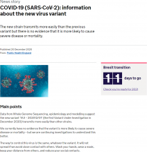 COVID-19 (SARS-CoV-2): information about the new virus variant
